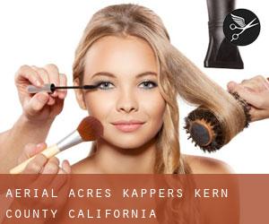 Aerial Acres kappers (Kern County, California)