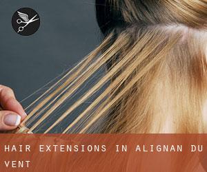 Hair extensions in Alignan-du-Vent