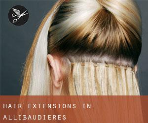 Hair extensions in Allibaudières