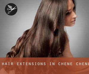 Hair extensions in Chêne-Chenu