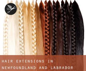 Hair extensions in Newfoundland and Labrador