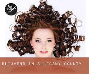 Blijvend in Allegany County