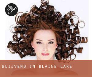 Blijvend in Blaine Lake