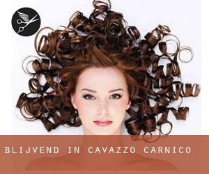 Blijvend in Cavazzo Carnico