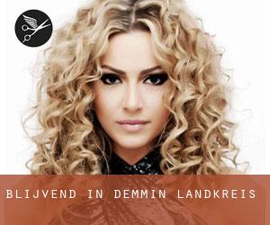 Blijvend in Demmin Landkreis Blijvend in Demmin Landkreis