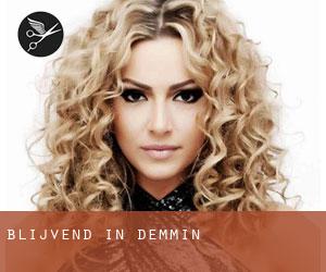 Blijvend in Demmin Blijvend in Demmin