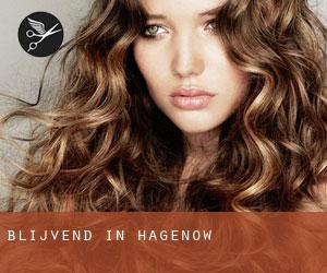 Blijvend in Hagenow Blijvend in Hagenow