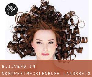 Blijvend in Nordwestmecklenburg Landkreis Blijvend in Nordwestmecklenburg Landkreis