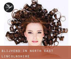 Blijvend in North East Lincolnshire