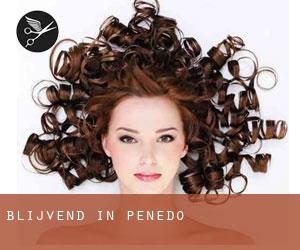Blijvend in Penedo Blijvend in Penedo
