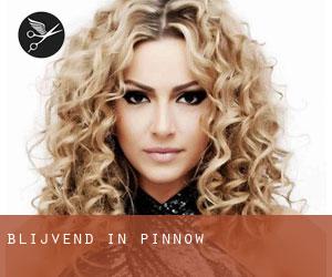 Blijvend in Pinnow Blijvend in Pinnow