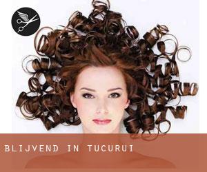 Blijvend in Tucuruí Blijvend in Tucuruí