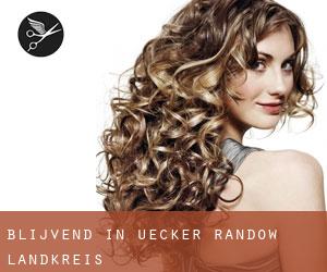 Blijvend in Uecker-Randow Landkreis Blijvend in Uecker-Randow Landkreis