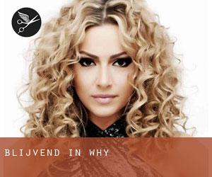 Blijvend in Why Blijvend in Why