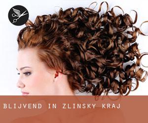 Blijvend in Zlínský Kraj Blijvend in Zlínský Kraj
