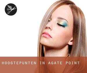 Hoogtepunten in Agate Point