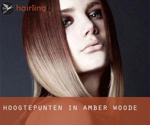 Hoogtepunten in Amber Woode