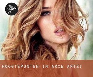 Hoogtepunten in Arce / Artzi