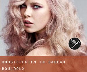 Hoogtepunten in Babeau-Bouldoux
