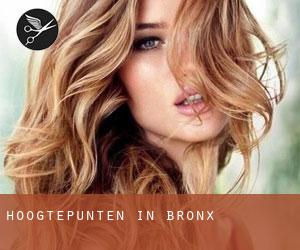 Hoogtepunten in Bronx Hoogtepunten in Bronx