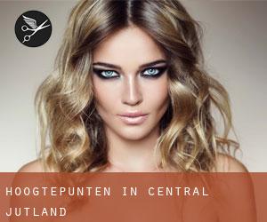 Hoogtepunten in Central Jutland Hoogtepunten in Central Jutland