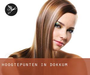 Hoogtepunten in Dokkum Hoogtepunten in Dokkum