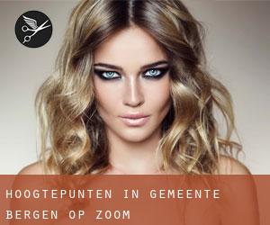 Hoogtepunten in Gemeente Bergen op Zoom