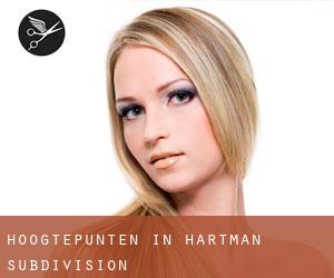 Hoogtepunten in Hartman Subdivision