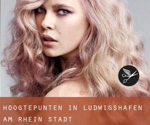 Hoogtepunten in Ludwigshafen am Rhein Stadt Hoogtepunten in Ludwigshafen am Rhein Stadt