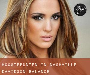 Hoogtepunten in Nashville-Davidson (balance)