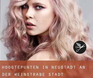 Hoogtepunten in Neustadt an der Weinstraße Stadt Hoogtepunten in Neustadt an der Weinstraße Stadt