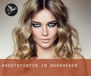 Hoogtepunten in Noorwegen Hoogtepunten in Noorwegen