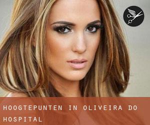 Hoogtepunten in Oliveira do Hospital