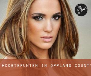 Hoogtepunten in Oppland county Hoogtepunten in Oppland county