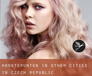 Hoogtepunten in Other Cities in Czech Republic