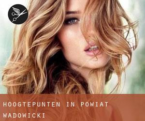 Hoogtepunten in Powiat wadowicki Hoogtepunten in Powiat wadowicki