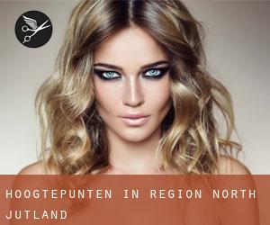 Hoogtepunten in Region North Jutland