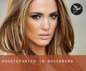 Hoogtepunten in Rosenberg Hoogtepunten in Rosenberg