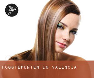 Hoogtepunten in Valencia Hoogtepunten in Valencia