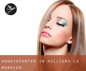 Hoogtepunten in Villiers-le-Morhier