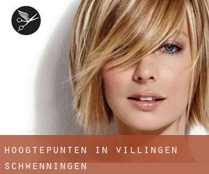 Hoogtepunten in Villingen-Schwenningen Hoogtepunten in Villingen-Schwenningen