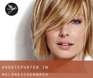 Hoogtepunten in Waldreichenbach Hoogtepunten in Waldreichenbach