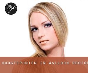 Hoogtepunten in Walloon Region