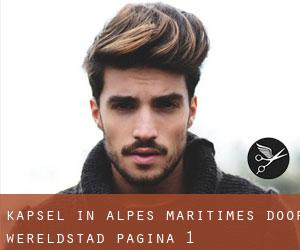 Kapsel in Alpes-Maritimes door wereldstad - pagina 1