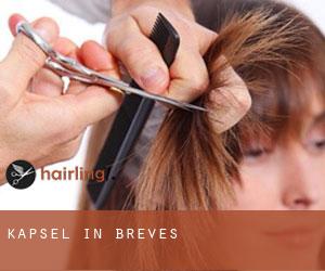 Kapsel in Breves Kapsel in Breves
