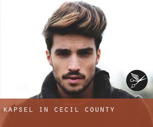 Kapsel in Cecil County