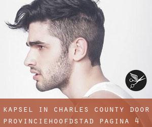 Kapsel in Charles County door provinciehoofdstad - pagina 4