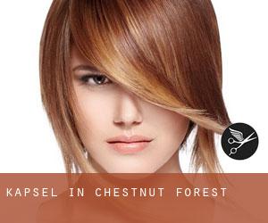 Kapsel in Chestnut Forest