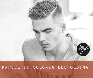 Kapsel in Colônia Leopoldina Kapsel in Colônia Leopoldina