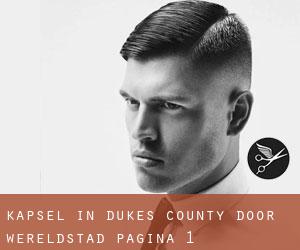 Kapsel in Dukes County door wereldstad - pagina 1